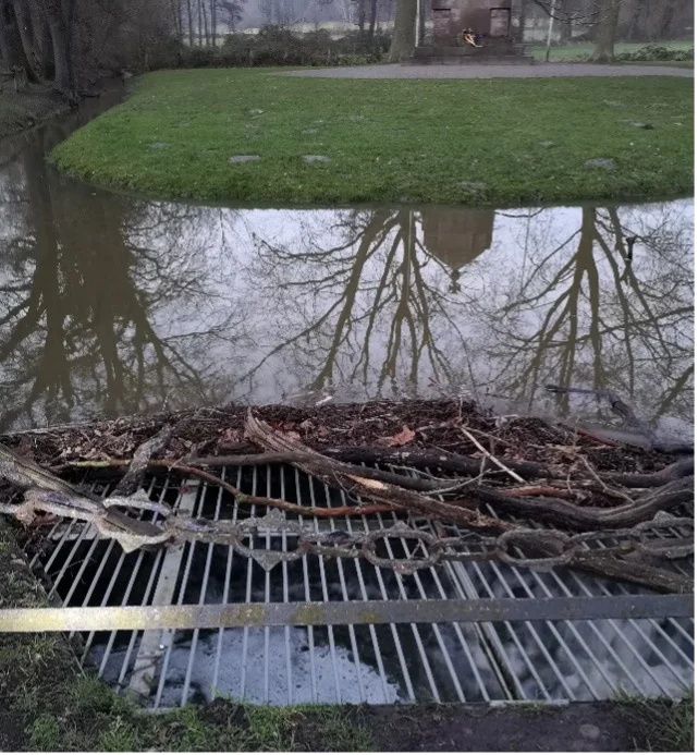 „Geschwemmsel“ abräumen