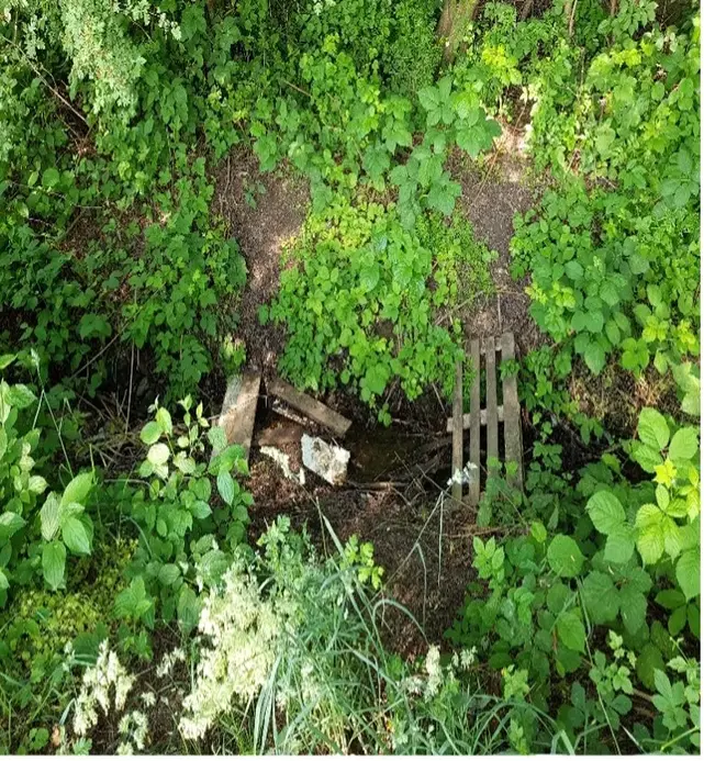 Räumung des Gewässerbettes, zur Wiederherstellung des Wasserabflusses