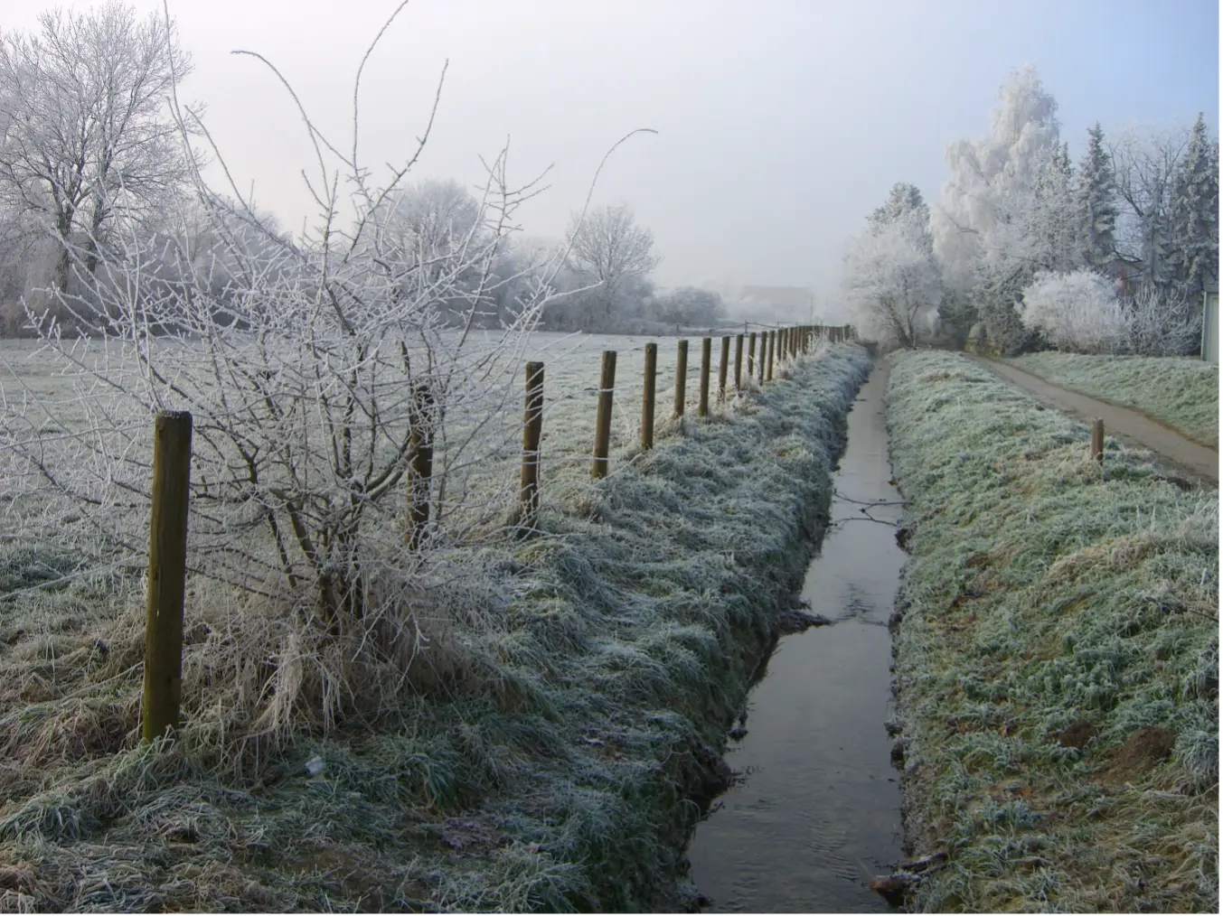 Krempelbach nach der Renaturierung