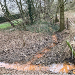 Was steckt hinter der braunen Farbe im Fuchsbach